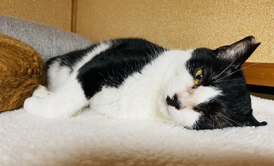 20BEDBB7-9E89-438D-A564-3DDEB3ABE196