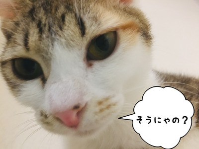 5AFE9E6A-E966-493B-908D-D26DAF23DEE1
