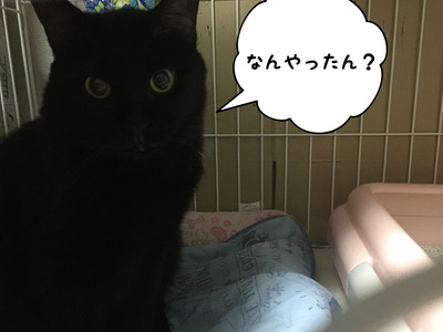 8715A4E7-DC55-4650-838B-E2F2F6429972