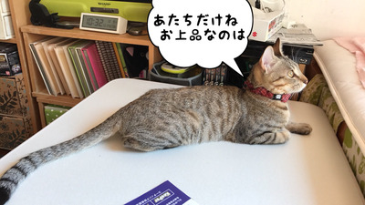 C713D832-15F0-4445-B5BE-B4324D3F769C