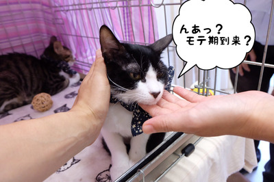 0FF760F0-D681-495B-A6E2-9CAF54081917