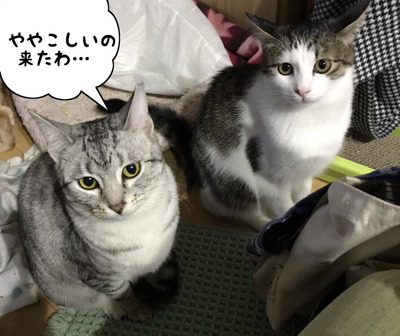 2F431625-C46A-4A81-9A17-04D554B0CD3E