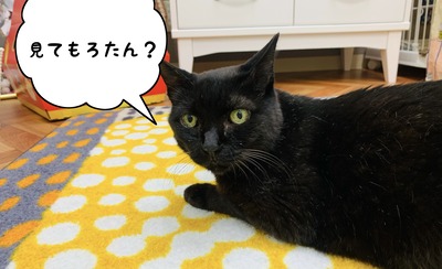 5A81674F-4302-42C1-8992-2CF6ECDDFD56