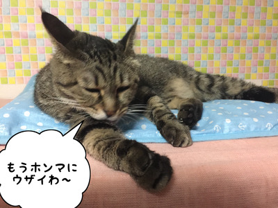 6775C3AA-1911-4F76-850F-254B64C7C718