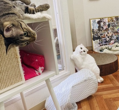 IMG_5752