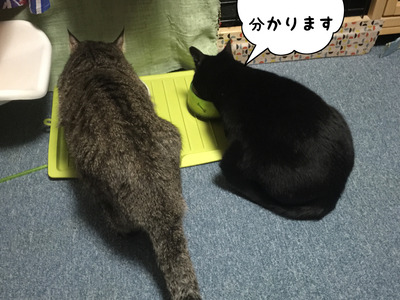 0A6668B0-555C-4564-84E7-E77EE41B20E9