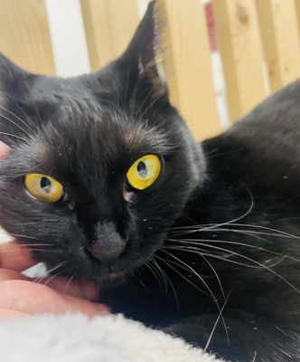 25E7FA32-BA5B-41F7-A7BD-6DC01EFE75CE