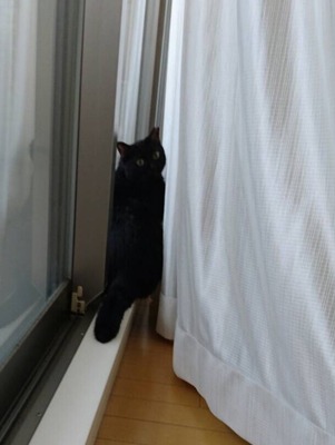 0282F49E-6AFB-4E10-903F-9CC434395D8E
