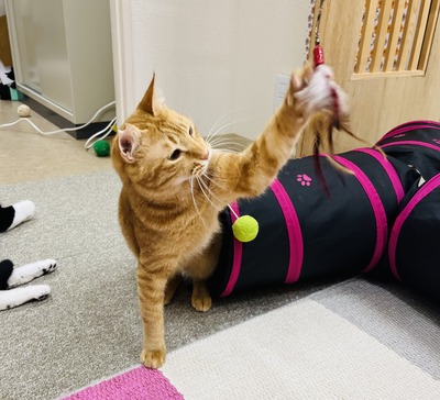 A2289817-E8D9-4D50-B492-D6203F698EFC