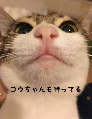 554E68F8-562E-42B7-BEBE-5ACB8DA2F66E