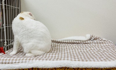 3CA0B6E9-7211-4A6F-8E3F-8C058281553B
