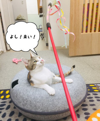 EF1F47DD-6345-4F6E-8355-B52E04F96133