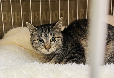 3EEE671E-4F48-4B4F-9E95-987261FBD029