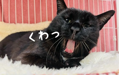 D4002738-B800-4290-8937-3C5EFAE5C770