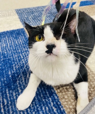 207584DE-216B-4007-8D4C-9682EFDA9428