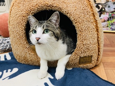 BDDCF2FE-D236-433B-9D8B-DE3F801F5832