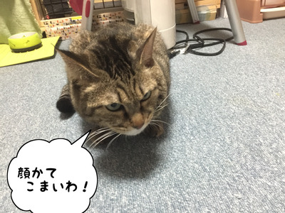 3C2B7669-2E4D-40CB-BD13-C8543395B7EF