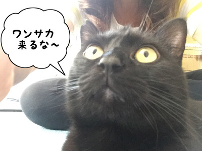 FD7529F7-8F39-487B-9239-010DD0F6D28C