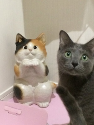 僕の弟です。似てるでしょ