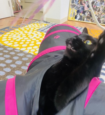 F71E5EE5-3A6E-4847-A2A2-04138992A1FF