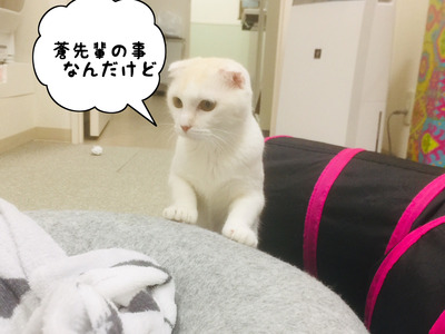 3A0423A5-DDAD-4DCD-A9B6-2B5BD2EB1349