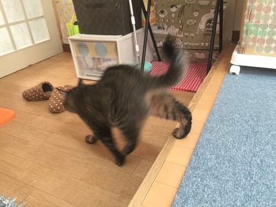 0FEE543A-3AEF-4078-ABB7-42DBF3ED1965