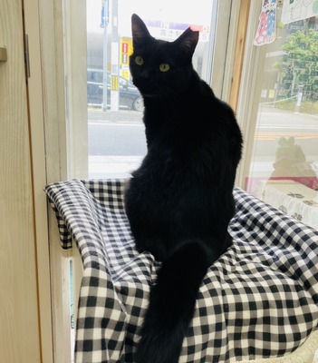 IMG_5515