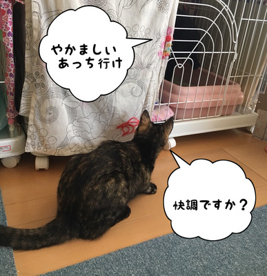 C76D8901-703D-42BD-9C32-1632C55B68CD