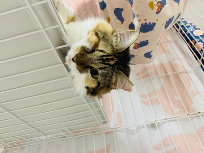 8D2B3072-94B3-4CC9-9036-409BCE977ABA