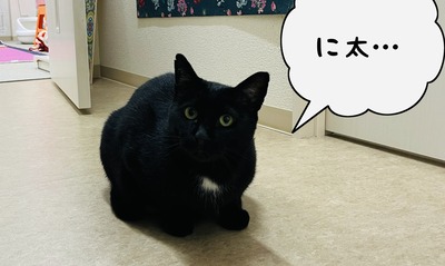 EB5035CC-68F5-4C58-A651-58124F345799
