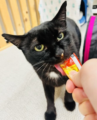 IMG_5645