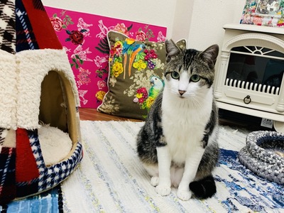 90AB3F20-4913-47D2-B260-29DC200534D8