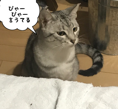 5F2309CD-D553-4382-9FB1-37DDFDD50134