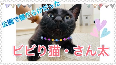 D9FBABD9-1F83-4FB8-AD6B-BDBF818D1BA8