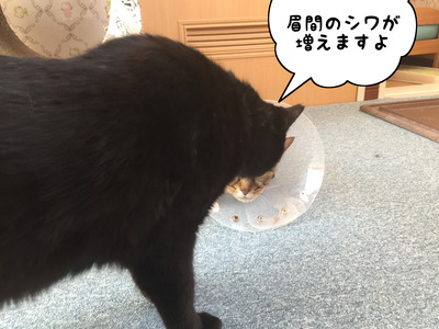 F8747CF5-169B-49B4-BB16-AC2C1FF7B893