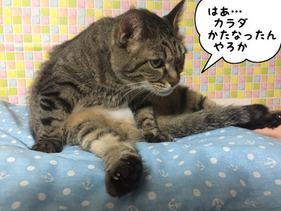 F961C7A3-BBA7-4276-A292-5976DA853C68