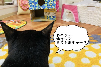 BD999CF5-1844-4529-A19F-56C8BC8582DF