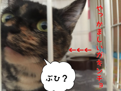 F58F0B9A-ADA5-4BE8-83BB-C221E016B97B