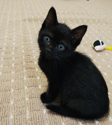 1CB3B5EC-784E-4741-BEA6-D303E24A5BE4