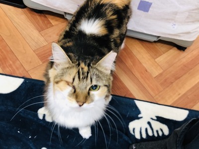 611F01F2-A529-4B07-B475-11B440BE8F24