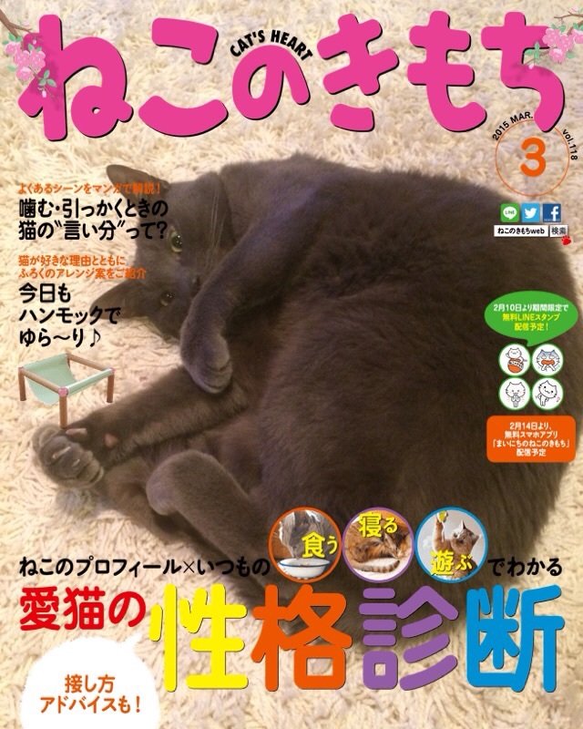 りゅうちゃんの ねこのきもちアプリやよぅ Annex ニャンコのずっとのお家探し りゅうちゃんの ねこのきもちアプリやよぅ Annex ニャンコのずっとのお家探し