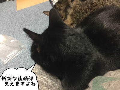 F428E8A8-01FD-4B90-8E49-0D5D7F0AA2D1