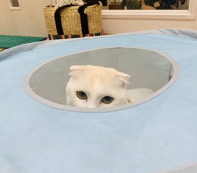B5FE1B57-BE31-4548-BB7F-BA81896F3AA9