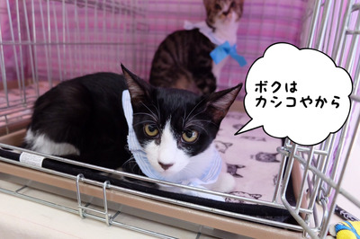 083C777C-EF8B-4B9C-AE35-E317EE908ABE