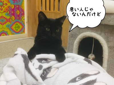 CAC1A54A-E326-41EB-9D29-9C774D55AE5B