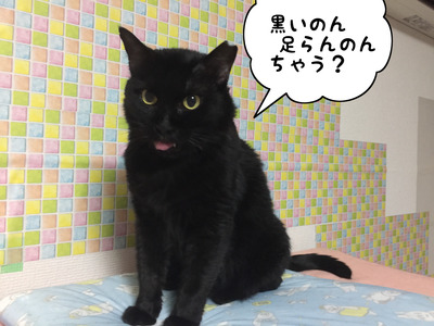 3C89D88C-5E1C-47BB-9A69-534333905598