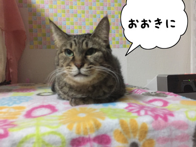 F932345B-411E-4B6C-B749-B7E0EEBD9CE4