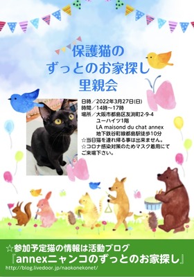 9DBD8DA5-797C-4D62-A1D8-100BCD373B09