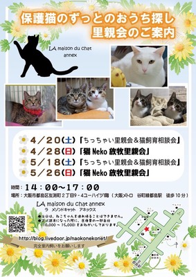 5444AF15-CD85-40CE-A4BD-795AFFA98296