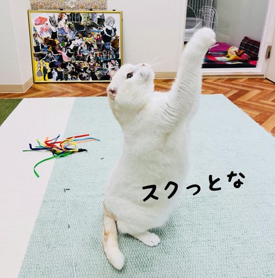 A9F007F4-4C79-45A1-8DD7-B59F8D772FEC